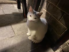 -张记牛肉面馆(天津路店)