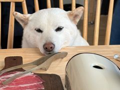-柴の食堂·日式家庭料理·熊之肆(大学路店)