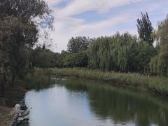 -大兴滨河森林公园