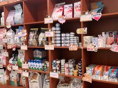 -瑞鹏宠物医院·骨外科·心肾科·肿瘤科(九亭店)
