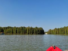 -上海海湾国家森林公园