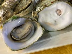 原味生蚝-皮记海鲜1995(寮步店)