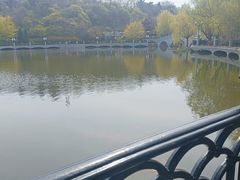 -大连植物园