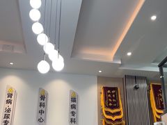 -半岛宠物医院24小时(科华中路店)