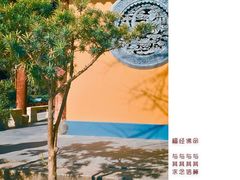 -龙华寺