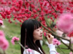 -秀丽东方