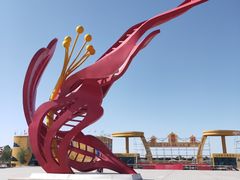 -金塔沙漠胡杨林景区