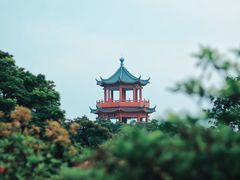 -梧桐山风景名胜区