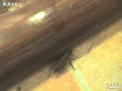 -华辉拉肠(广园店)