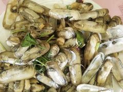 -叶存利海鲜大馅饺子(东戴河止锚湾店)