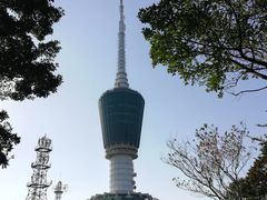 -梧桐山风景名胜区