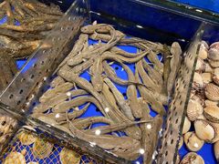 -高佳庄·舟山海鲜(海景旗舰店)