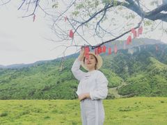 -硗碛藏寨·神木垒景区