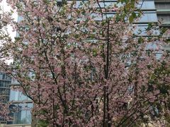 外景-绿城千岛湖喜来登度假酒店