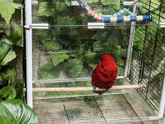 -上海大自然野生昆虫馆