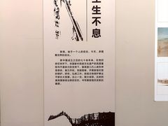 -敦煌石窟文物保护研究陈列中心