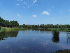 -永定河休闲森林公园