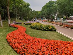 -武汉园博园(武汉自然博物馆)