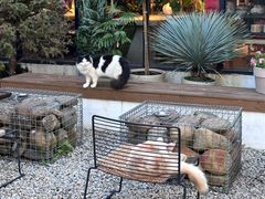 -自由生长植物工作室(深港花卉中心店)