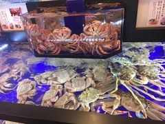 -蟹道乐(道顿堀本店)