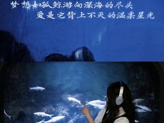 -重庆欢乐海底世界
