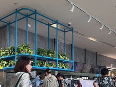 -贝林大翅鲸简餐厅(国家海洋博物馆店)