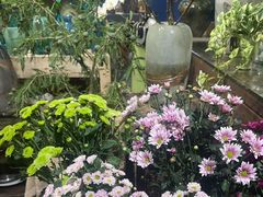 -弗劳尔花艺坊(龙涛店)