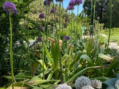 -国家植物园南园