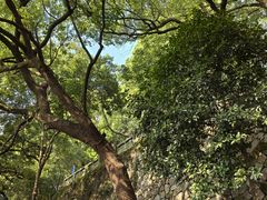 -城隍阁