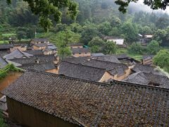 -杨家堂村