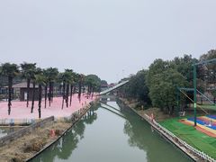 -苏州太湖西山岛开心农场