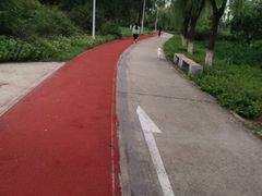 -绿堤公园