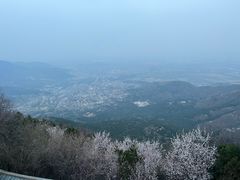 -香山公园