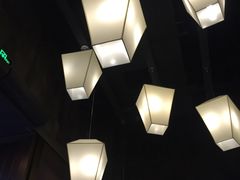大堂-捞王锅物料理(凯旋路店)