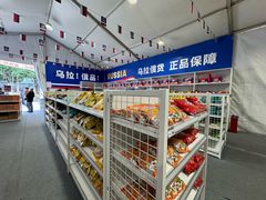 -岭南站NOVA
