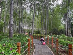 -仁和公园(顺义区)