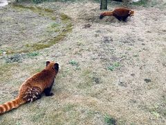-黔灵山公园