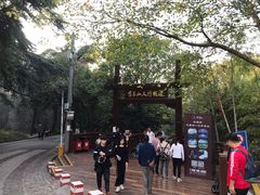 -紫金山天文台
