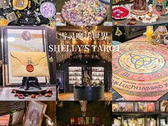 -雪灵魔法世界SHELLY’S TAROT(大良桂畔里店)