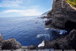 -花漾摄影优选工作室(东莞原创作品店)