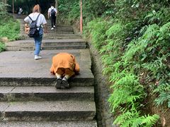 -普陀山风景区-佛顶山
