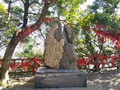 -广州市帽峰山景区