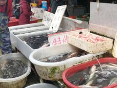 -江杨农产品批发市场