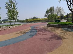 -东郊湿地公园