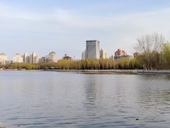 -莲花池公园