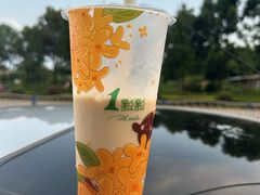 -1点点(阳光城店)