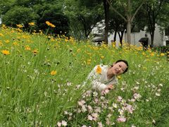 -尚贤河湿地