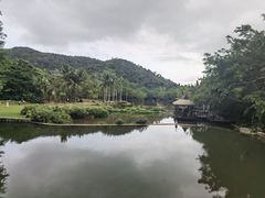 -呀诺达热带雨林