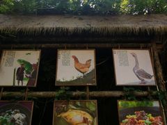 -海南槟榔谷黎苗文化旅游区