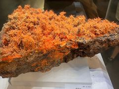 -湖南省地质博物馆